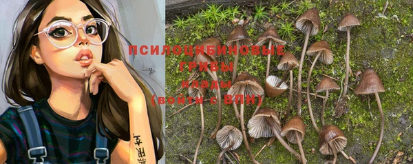 стафф Абинск